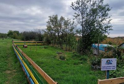 Casă cu 2 camere în Central - 2