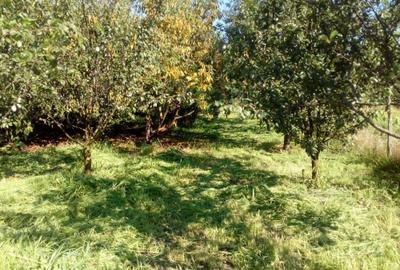 Casă cu 3 camere în Central