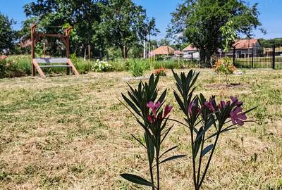 Casa cu teren 2700 mp la 22 km de Oradea - 7