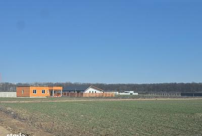 Spațiu comercial, în Balotești