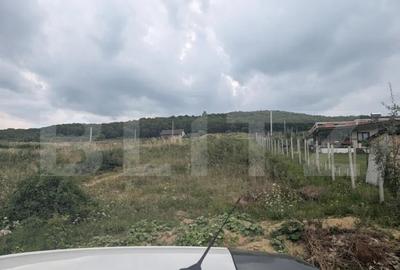 Teren construibil de vanzare, 500 mp sau 1000 mp, Dealu Jel - 5