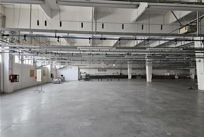 Spatiu Industrial - 2500 mp - Productie - Depozitare - Office - 3