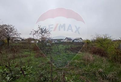 Teren 6218 mp - de vanzare in Ghencea / Strada Nandru - 4