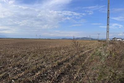 Teren dezvoltare rezidentiala Tarlungeni - zona Izvor - 1