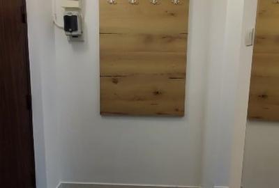 Apartament cu 2 camere semidecomandat, mobilat în Ștefan cel Mare - 7