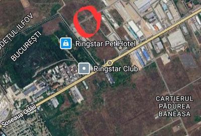 Teren de 4000 mp, în Nord