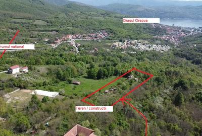 Teren intravilan 2500 mp cu vie, pomi ?i construc?ii Or?ova - 6