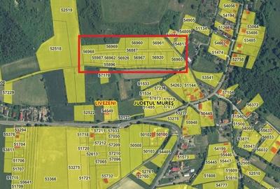 Teren de 20000 mp, în Sânișor - 2