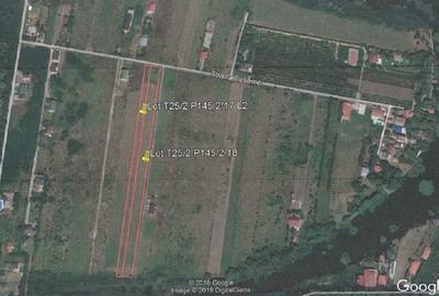 Teren Construcții intravilan de 10000 mp, în Snagov - 5