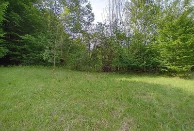 Teren de vanzare in Bradulet Arges - 6