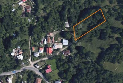 Spațiu comercial, în Provița de Jos - 3