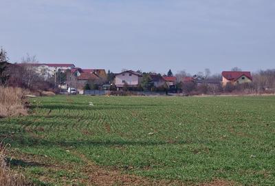 Oportunitate Saftica - Balotesti - Green Land Residence – Lot 653 mp - 6