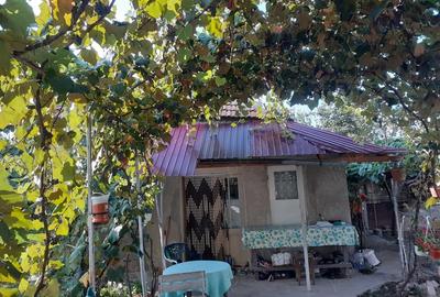 Vand casa ,cu curte ?i gradina - 1