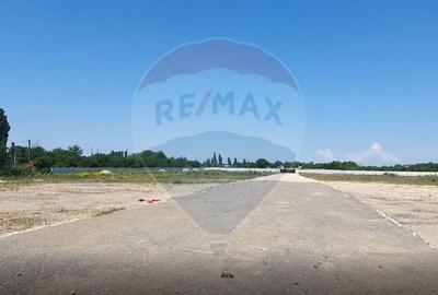 Teren Construcții intravilan de 29386 mp, în Giulești - 7