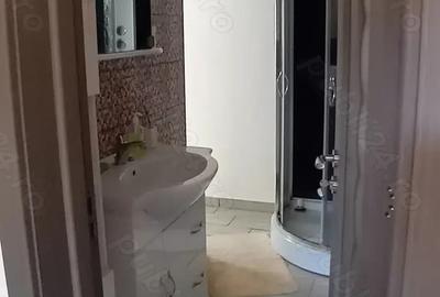 Inchiriez apartament cu o camera Timi?oara, zona Lipovei Inchiriez apartament cu o camera Timi?oara, zona Lipovei - 3