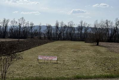 Teren de 6000 mp, în Bizușa-Băi - 4