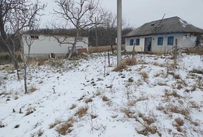 Hala pe Structura Metalica+ Casabatraneasca + 4800 m2 - 7