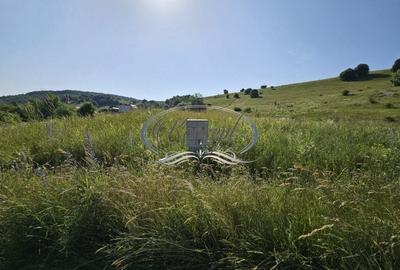 Teren construibil in proximitatea pensiunii ”La Mesteceni” - 4