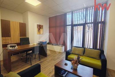 Spatiu birouri, premium, mobilat, Lapus Arges - 16