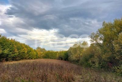 Teren intravilan de vanzare 550m front 21 m utilitati la 120m Cisnadie - 2