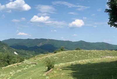 Spațiu comercial, în Jitia - 5