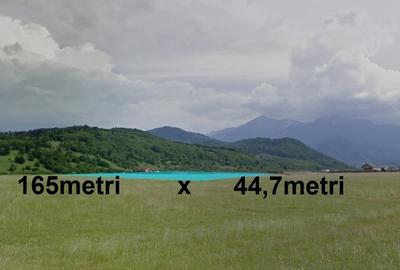 Teren de 7400 mp, în Nord-Vest