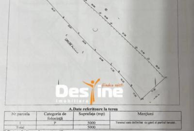 Teren de 5000 mp, în Șaru Dornei - 1