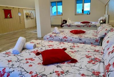 Casă individuală cu 7 camere cu Teren 1300 Mp în Sânpetru - 13