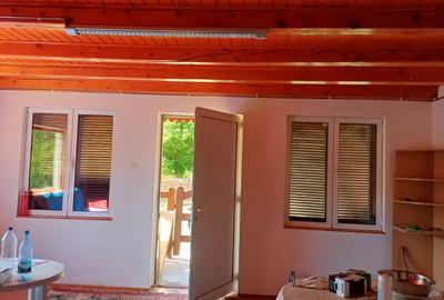 Casă cu 3 camere în Pietroasa