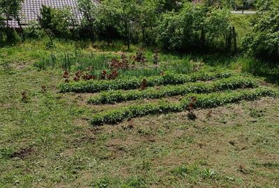 Casă cu 3 camere cu Teren 10300 Mp în Central - 2