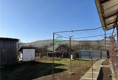 Casa cu teren de 5400 mp intravilan de vanzare, loc. Dileu Vechi - 6