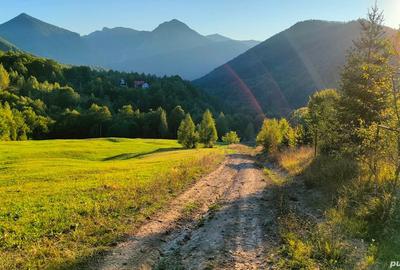 Casă cu 6 camere cu Teren 5600 Mp în Lepșa - 3