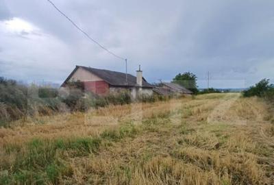 Teren intravilan 6000 mp cu 2 fronturi, parcelabil - 1