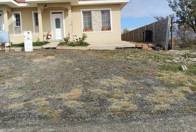 Casă cu 3 camere cu Teren 250 Mp în Izvin - 7