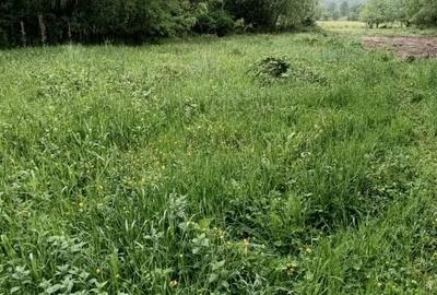 Teren de vanzare intravilan Com Fardea Jud Timis - Langa lacul Surduc - 7