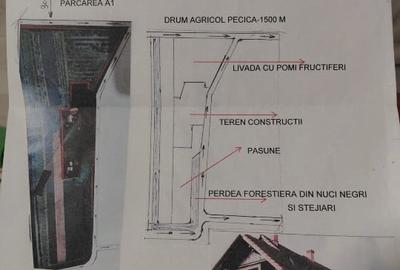 Teren agricol extravilan de 77000 mp, în Central - 1