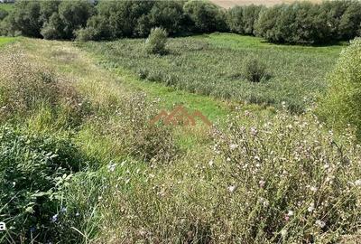 Teren de 8000 mp, în Moara