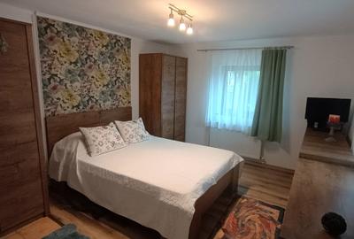 Casa individaual renovata, curte amenjata Boteni de Arges - 23