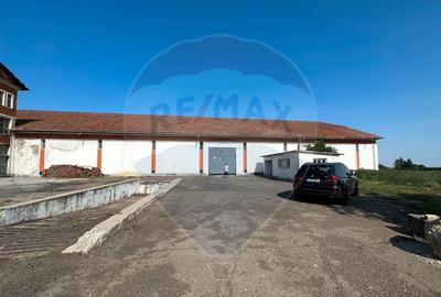 Hala de la 500 mp depozitare productie - 2