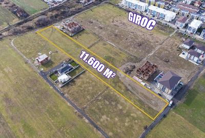 Teren arabil intravilan pentru PUZ 11.600mp | Giroc - 6