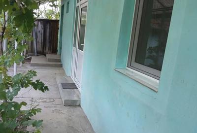 Casa cu teren 2877.mp la 27 km de Timi?oara - 7