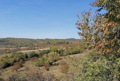 Teren de 3700 mp, în Exterior Vest - 1