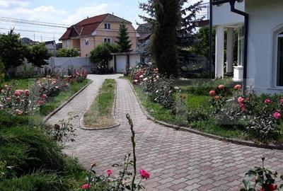 Casa cu 5 camere, 386 mp, Sangeorgiu de Mures, zona Apollo S - 6