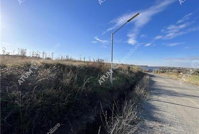 Teren intravilan de 6000 mp situat in Sibiu zona industriala Selimbar - 7