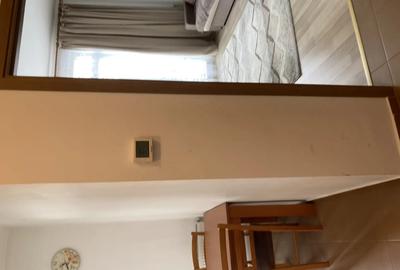 Proprietar inchiriez garsoniera in Turnisor - Sibiu - 3