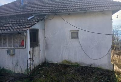 Casă în Blăjani - 4