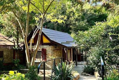 Loca?ie de vis! Sasca Montana Loca?ie de vis! Sasca Montana - 1