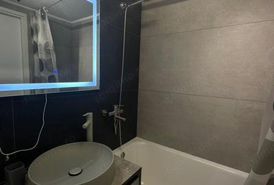 Garsoniera Costin Georgian - 3