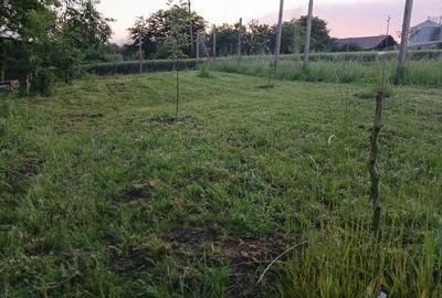 Casă cu 6 camere cu Teren 1600 Mp în Siliștea - 3