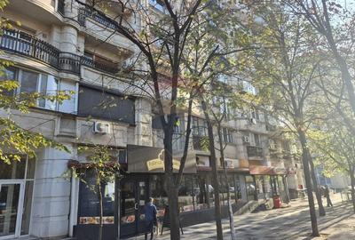 Apartament deosebit de 4 camere zona Decebal - Piata Alba Iulia - 15